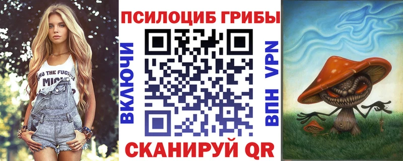 наркотики Белозерск Галлюциногенные грибы мицелий